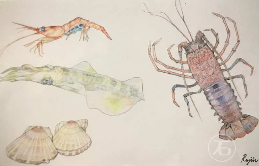 伊勢エビ・甘エビ・アオリイカ・ホタテ貝